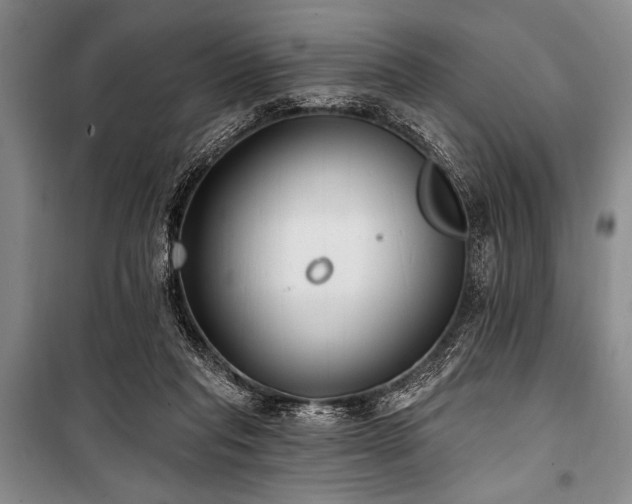 X0000101180261200806271258
