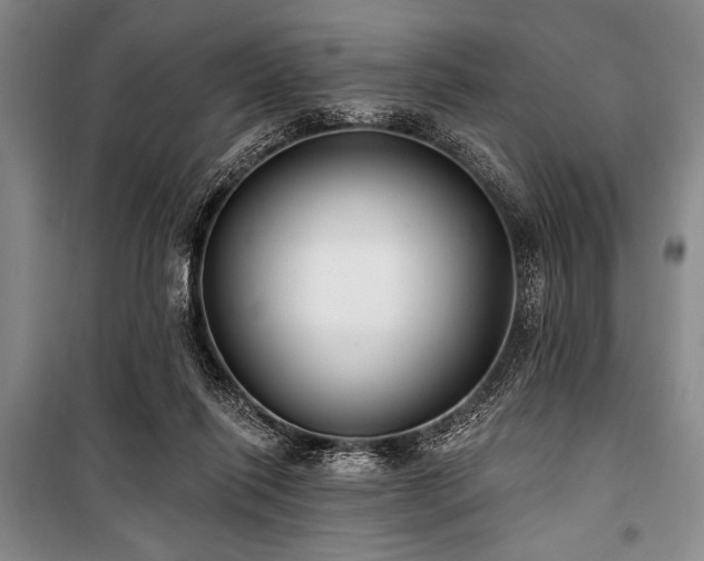 X0000101180262200806271258