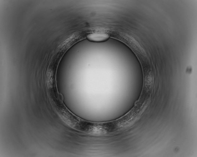 X0000101180264200806271258