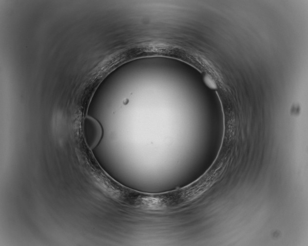 X0000101180265200806271258