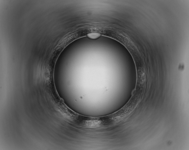 X0000101180266200806271258