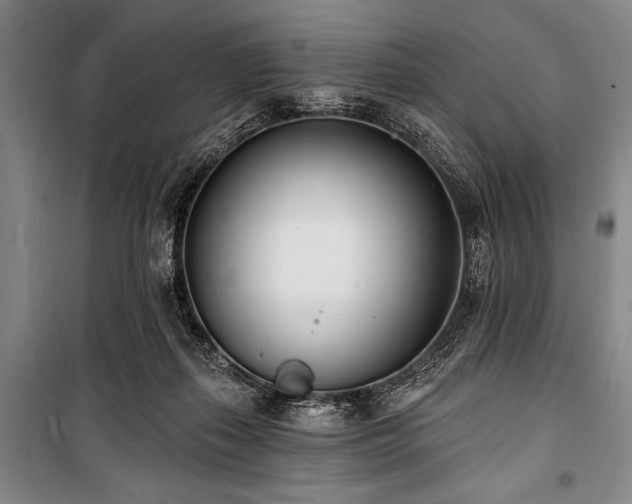 X0000101180267200806271258