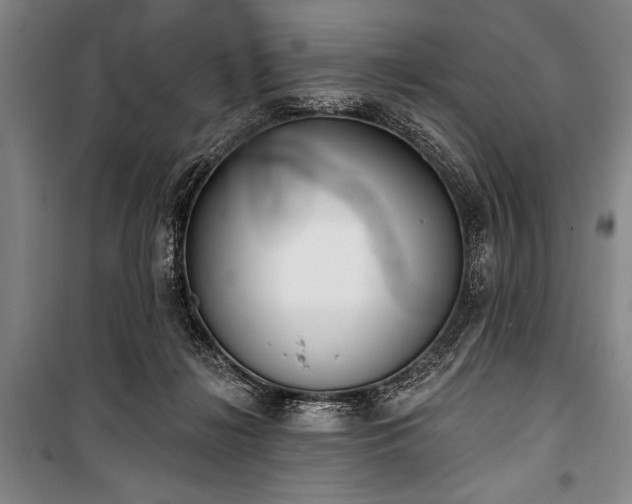 X0000101180268200806271258
