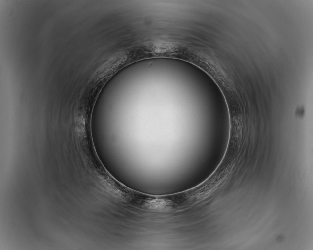X0000101180269200806271258
