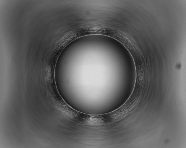 X0000101180270200806271258