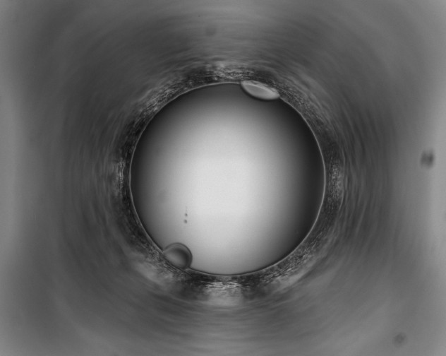 X0000101180271200806271258