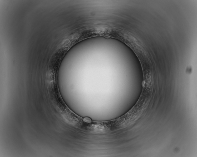X0000101180272200806271258