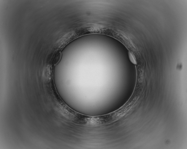X0000101180273200806271258