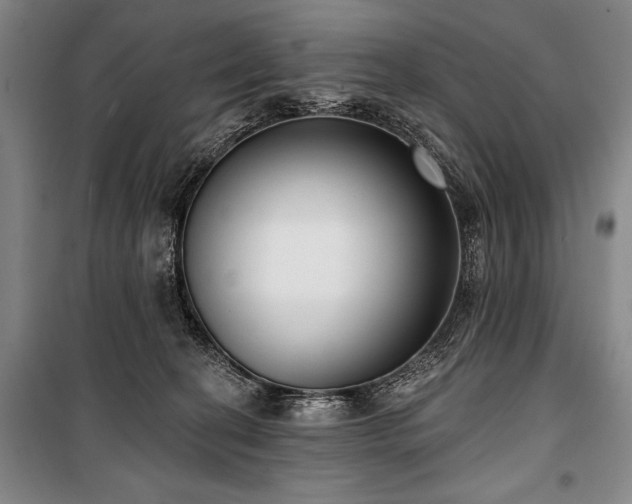 X0000101180274200806271258
