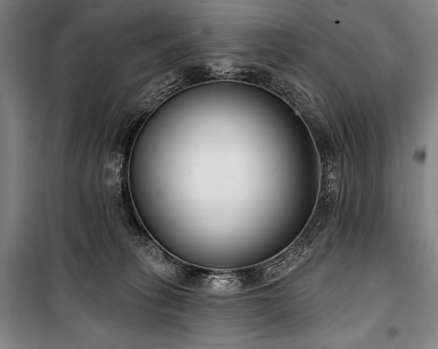 X0000101180275200806271258