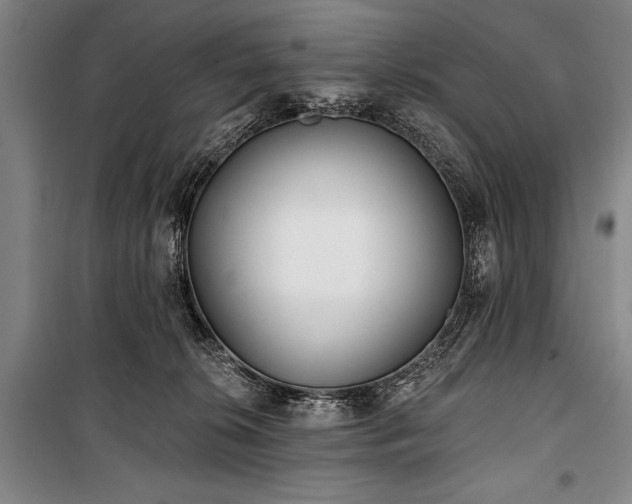 X0000101180276200806271258
