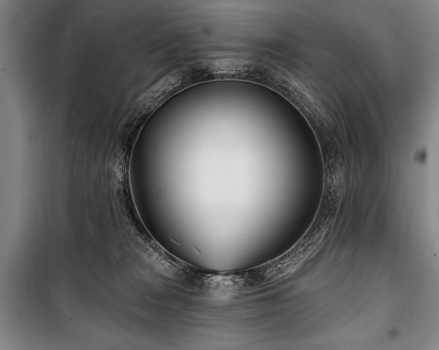 X0000101180277200806271258