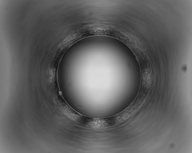 X0000101180278200806271258
