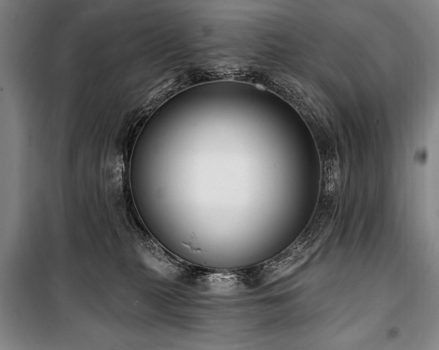 X0000101180279200806271258