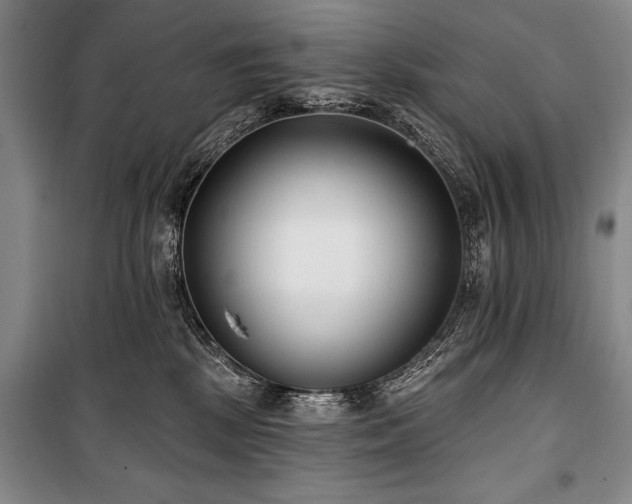 X0000101180281200806271259