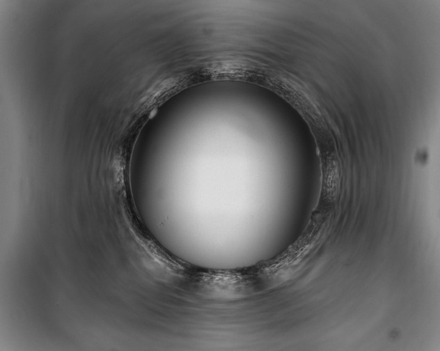 X0000101180282200806271259
