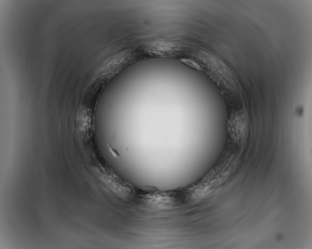 X0000101180284200806271259