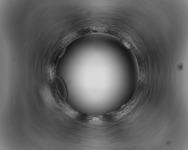 X0000101180285200806271259