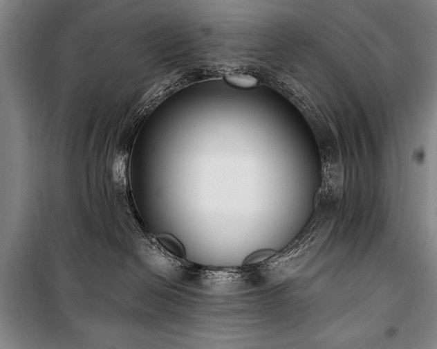 X0000101180286200806271259