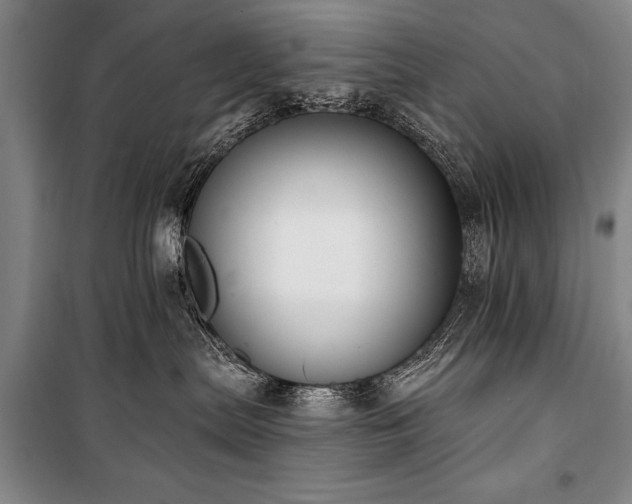 X0000101180287200806271259