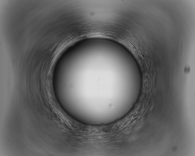 X0000101180289200806271258