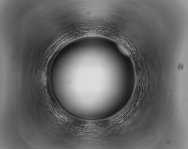 X0000101180290200806271258