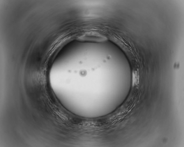 X0000101180291200806271258