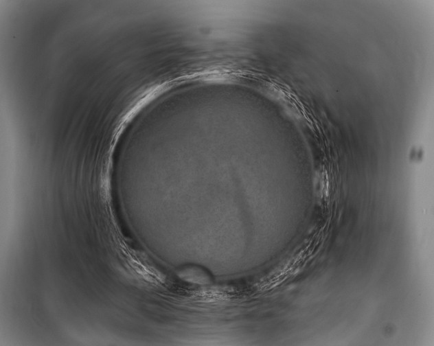 X0000101180292200806271258