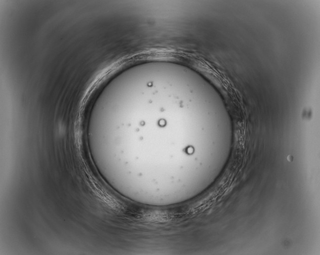 X0000101180293200806271258