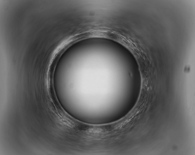 X0000101180294200806271258