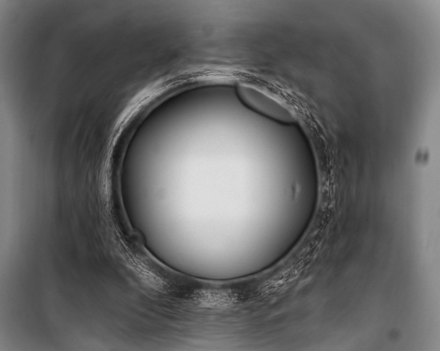 X0000101180296200806271258