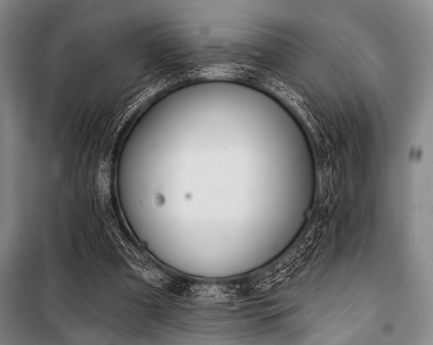 X0000101180297200806271258