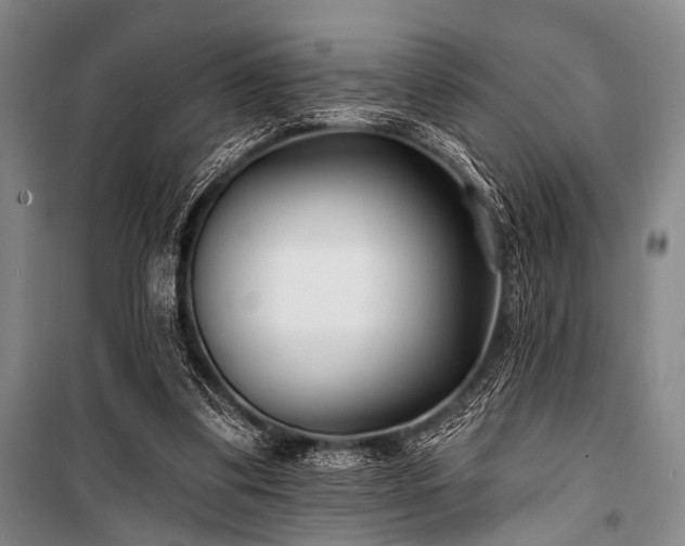 X0000101180299200806271258