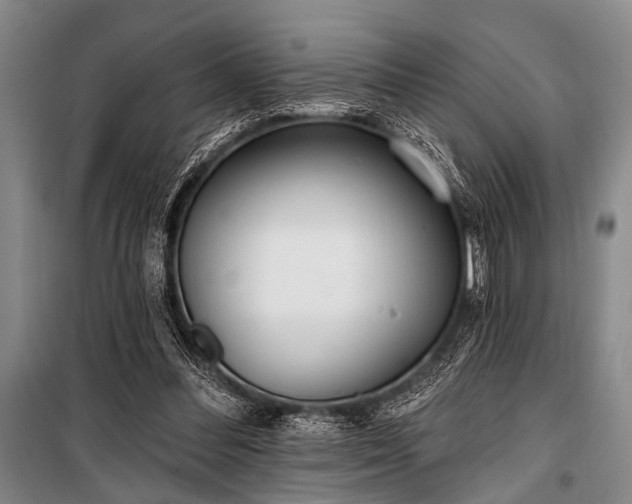 X0000101180300200806271258