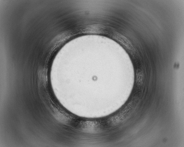 X0000101180302200806271258