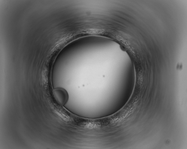 X0000101180303200806271258