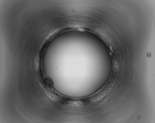 X0000101180304200806271258