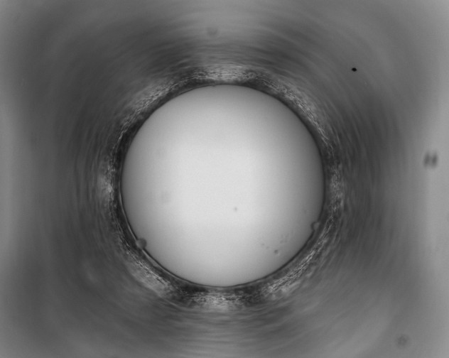 X0000101180305200806271258