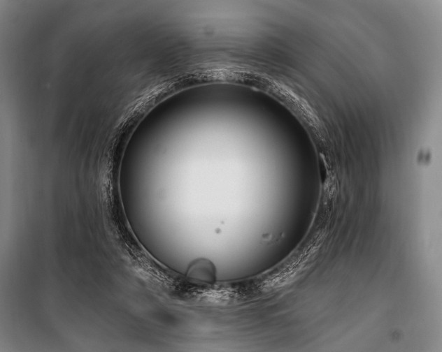 X0000101180306200806271258
