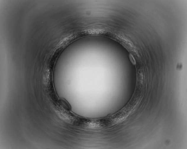 X0000101180308200806271258