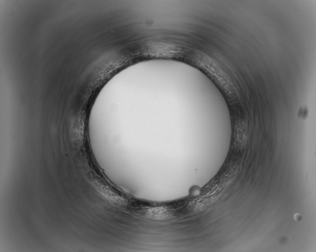 X0000101180309200806271258