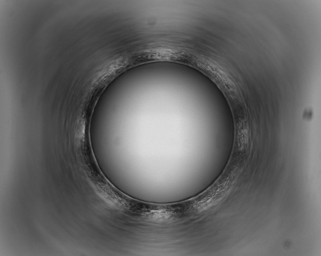 X0000101180310200806271258