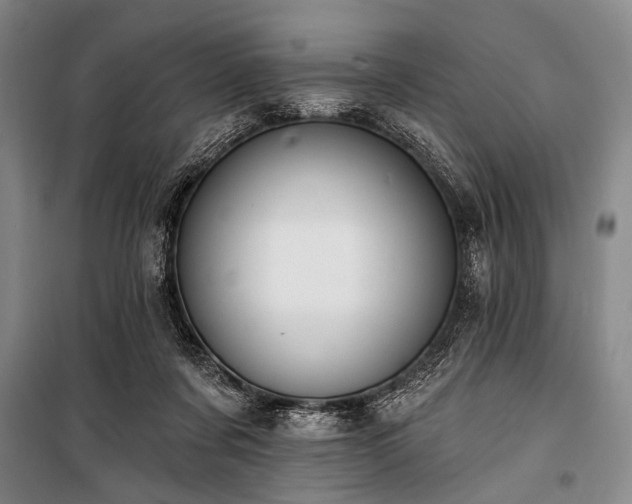 X0000101180311200806271258