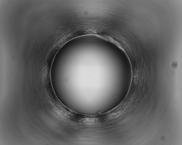 X0000101180314200806271258