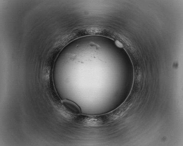 X0000101180315200806271258