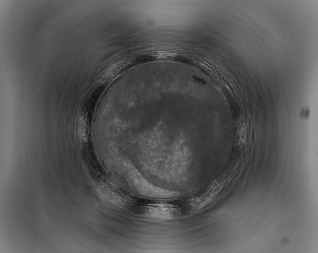 X0000101180316200806271258