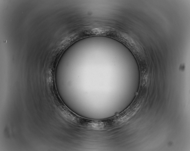 X0000101180317200806271258