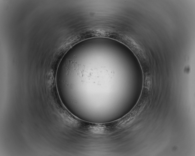 X0000101180318200806271258