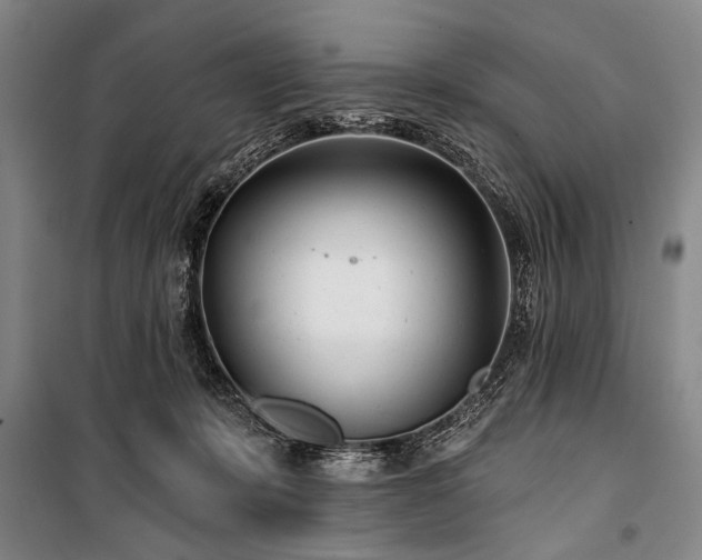X0000101180319200806271258