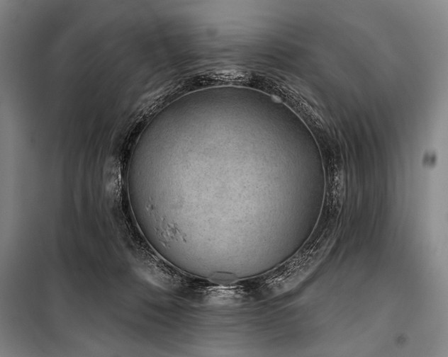X0000101180320200806271258